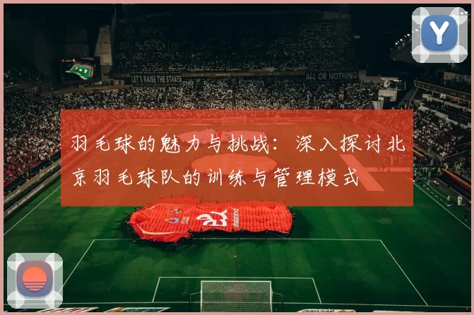 羽毛球的魅力与挑战：深入探讨北京羽毛球队的训练与管理模式