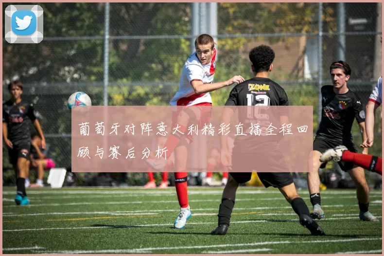葡萄牙对阵意大利精彩直播全程回顾与赛后分析