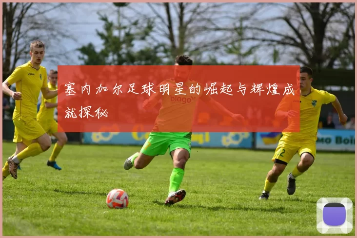 塞内加尔足球明星的崛起与辉煌成就探秘