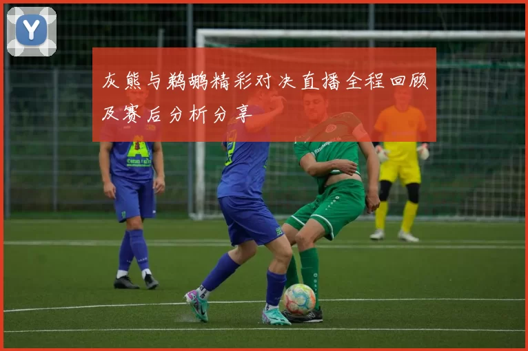灰熊与鹈鹕精彩对决直播全程回顾及赛后分析分享