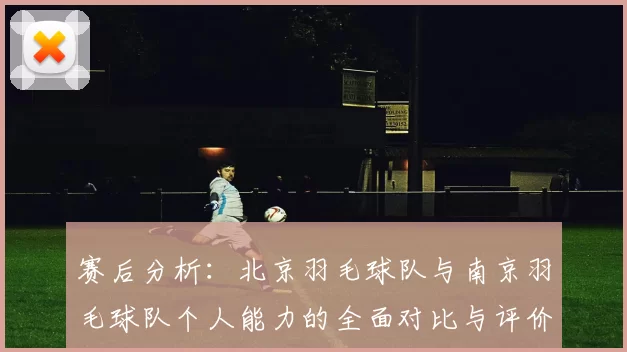 赛后分析：北京羽毛球队与南京羽毛球队个人能力的全面对比与评价