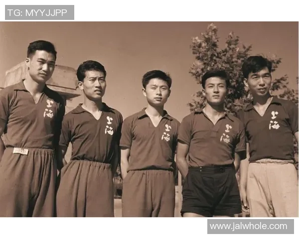 上海乒乓球队总决赛精彩表现分析团队协作的重要性与影响