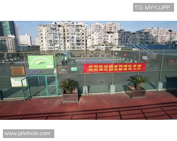 北京网球队进攻策略分析与失误反思助力未来发展